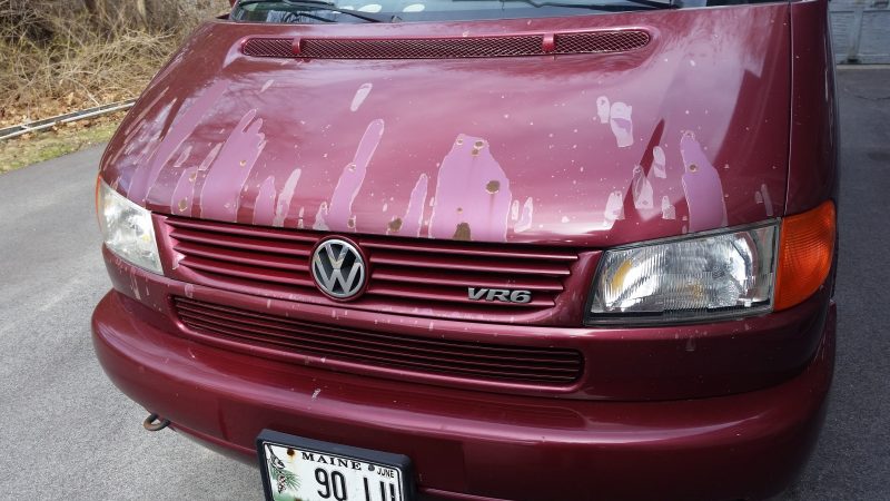 Front hood of a burgundy Volkswagen Eurovan.