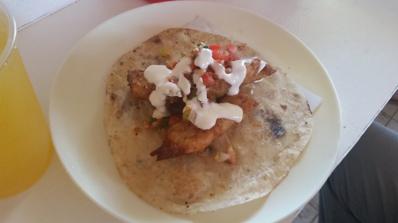 A white plate with a fish taco and a glass of juice on the side.