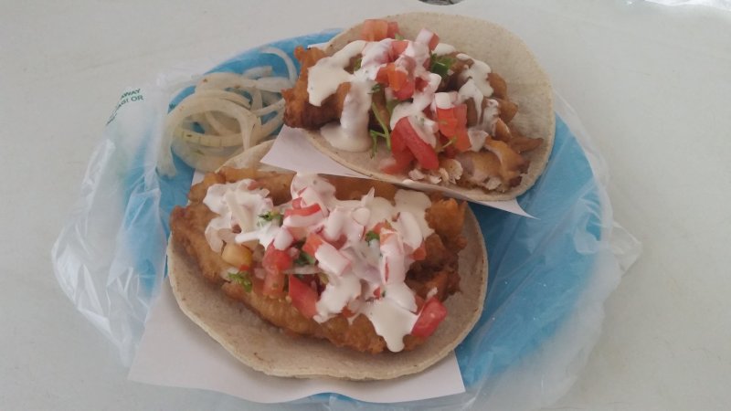 Two fish tacos on a blue plate at Tacos de Pescado El Estadio, La Paz, Baja Sur, Mexico.