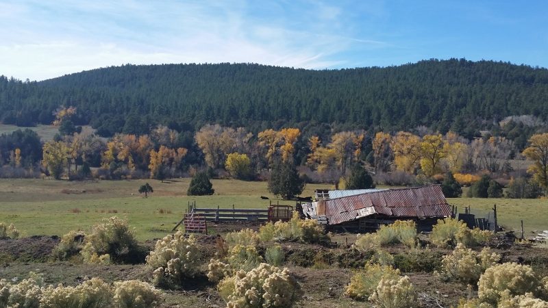An old barn in ruin in autumn on New Mexico Route 76, also known as the High Road to Taos Scenic Byway.