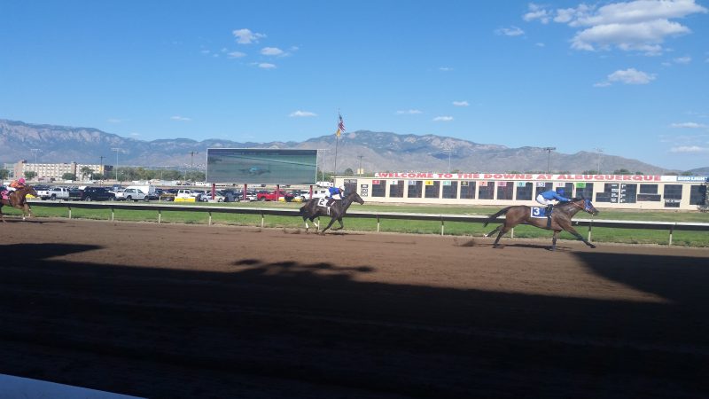 Horses racing on a flat dirt track at Albuquerque Downs with mountains in the background.