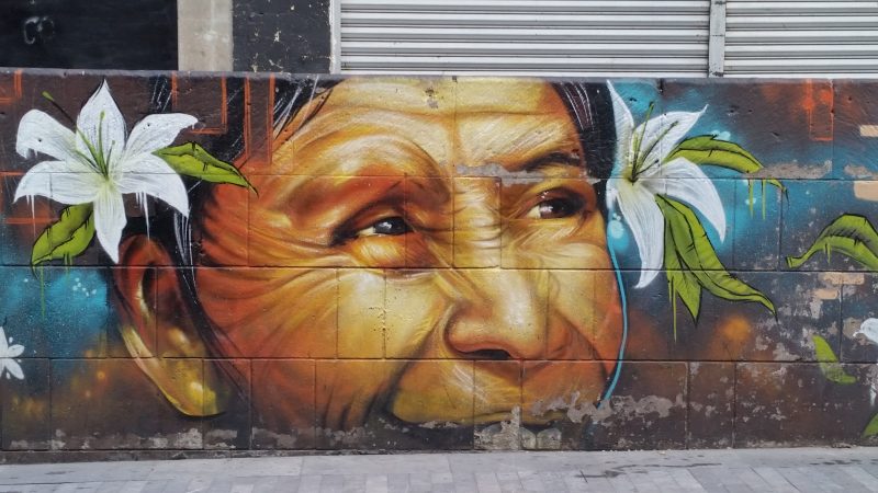 A painted image featuring the face of an old lady.