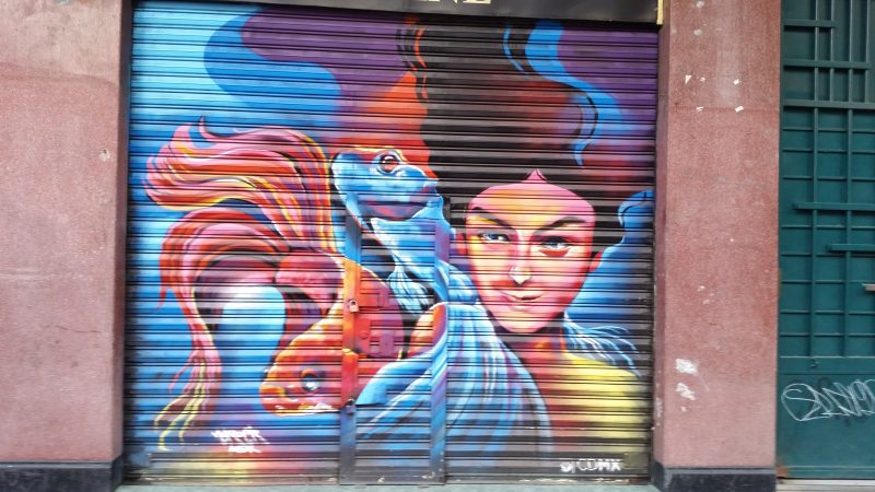 Metal storefront shutters featuring some examples of the various types of street art in Mexico City.