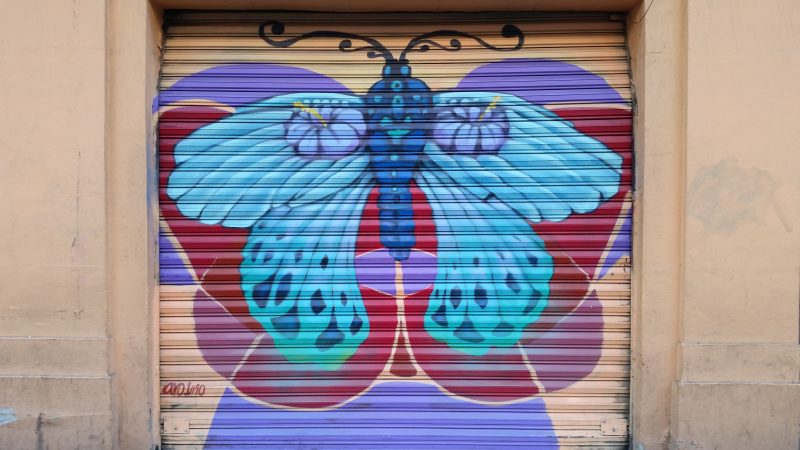 A butterfly painted on the entire surface of a shop's metal shutters in Mexico City.