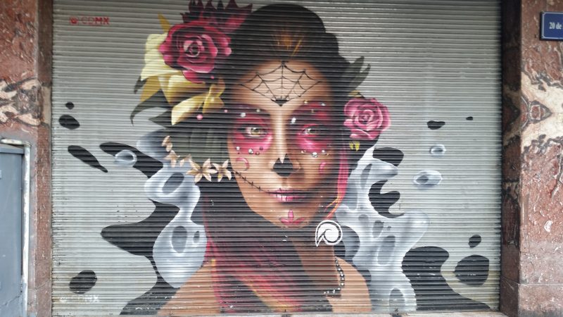 A good example of Mexico City's street art showing a spray painted work of a woman with a spider web tattoo on her face.
