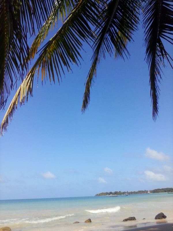 Palm trees with the blue water in the background on Big Corn island off the coast of Nicaragua.