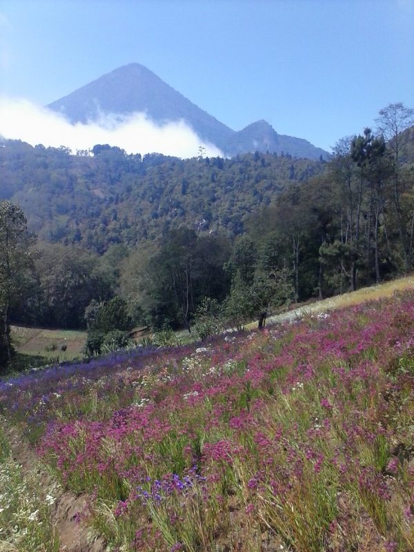 A view of Volcan Santa Maria near Quetzaltenango, Guatemala.
