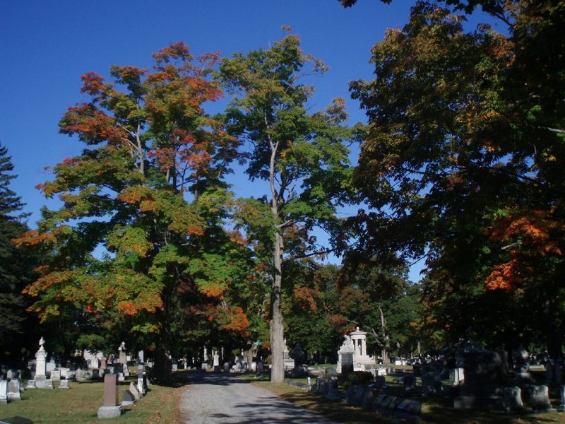 Autumn trees at Evergreen Cemetery in Portland, Maine.