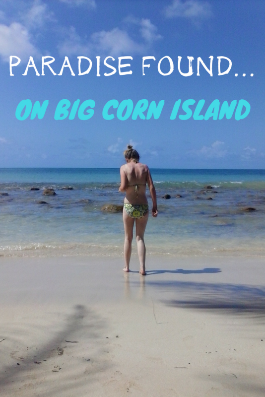 woman in bikini standing at the ocean.