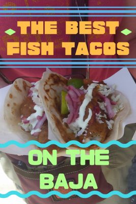 person holding plate of fish tacos