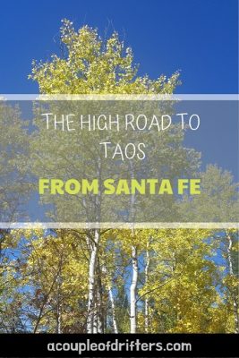 Aspen trees in autumn with yellow leaves against a clear blue sky.